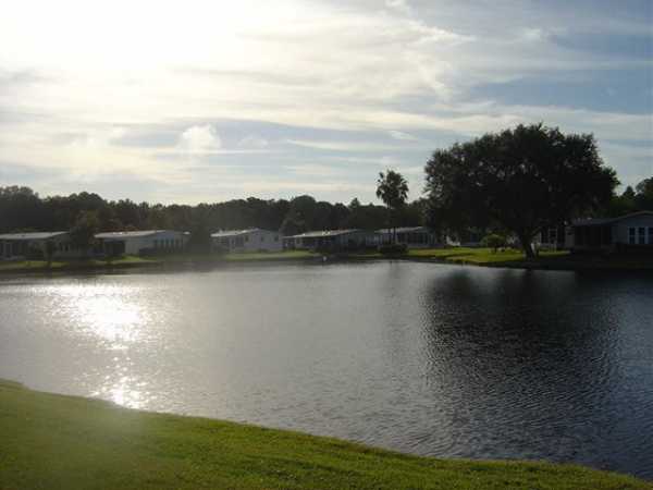 Cypress Lakes2126 Horseshoe DriveLakeland, FL 33810