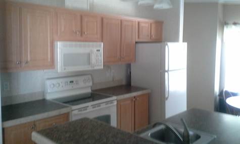 Cypress Lakes2867 Sunbird CourtLakeland, FL 33810