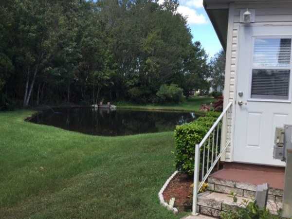 Cypress Lakes9216 Spatterdock CourtLakeland, FL 33810
