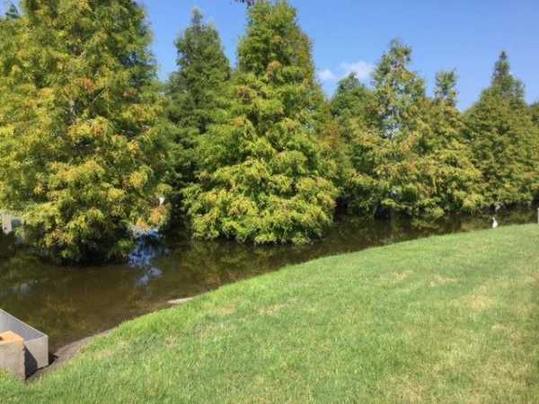 Cypress Lakes1758 Big Cypress BlvdLakeland, FL 33810