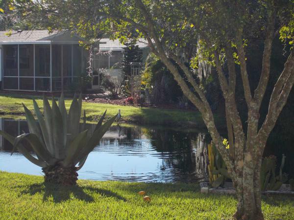 The Hamptons Golf and Country Club789 royal forest driveAuburndale, FL 33823