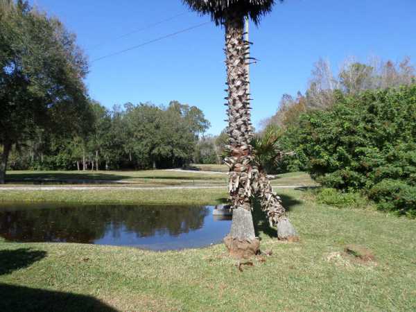 The Hamptons Golf and Country Club239 GOLF VIEW DRAuburndale, FL 33823