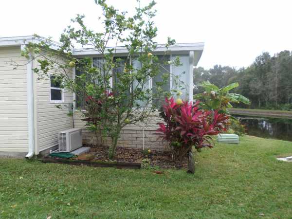 The Hamptons Golf and Country Club444 BAYSHORE DRAuburndale, FL 33823