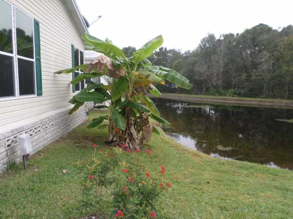 The Hamptons Golf and Country Club444 BAYSHORE DRAuburndale, FL 33823