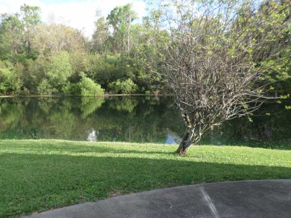 The Hamptons Golf and Country Club765 ACICIA BLOSSOM CTAuburndale, FL 33823
