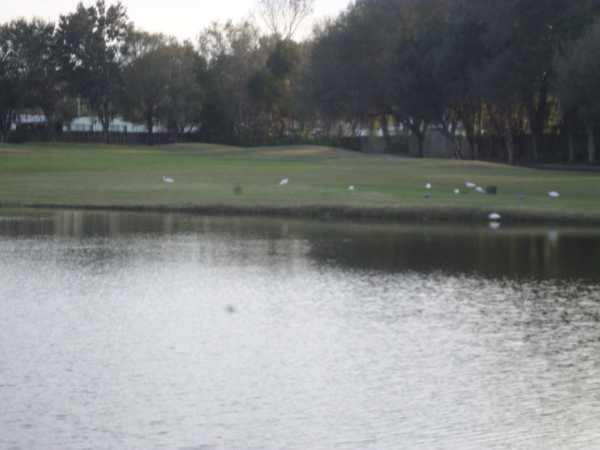 The Hamptons Golf and Country Club202 MONTAUK CTAuburndale, FL 33823