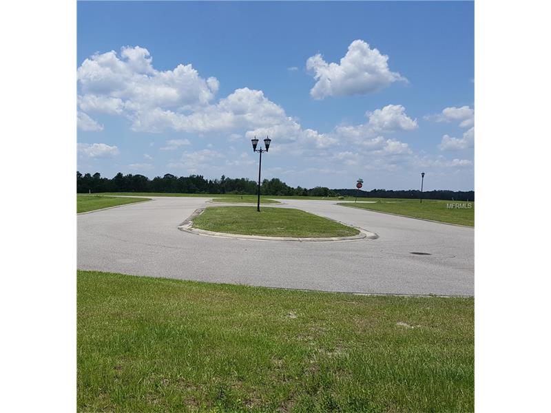 458 WATERFERN TRAIL DRIVE, Auburndale, FL 33823