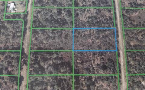 1342 S OLSEN RD, Avon Park, FL 33825