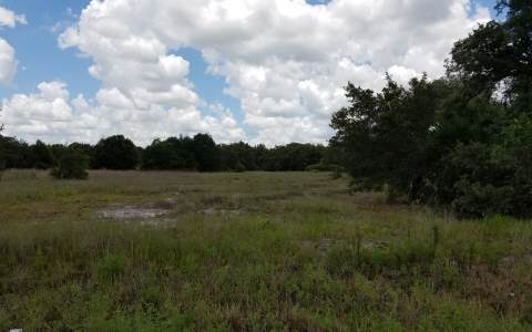 1342 S OLSEN RD, Avon Park, FL 33825
