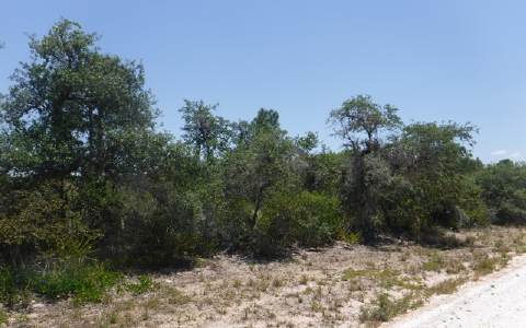 2470 HARTMAN RD, Avon Park, FL 33825