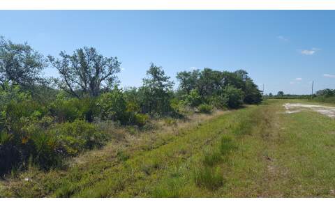 1425 S MUNSON RD, Avon Park, FL 33825