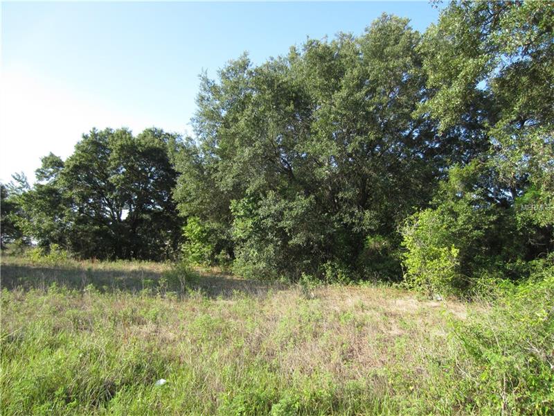 HOLLY HILL GROVE ROAD, Davenport, FL 33837