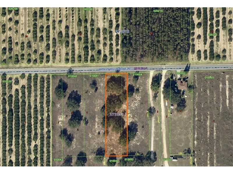 HOLLY HILL GROVE ROAD, Davenport, FL 33837