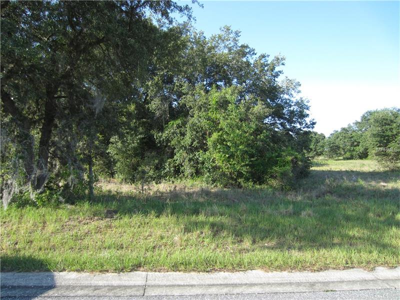 HOLLY HILL GROVE ROAD, Davenport, FL 33837