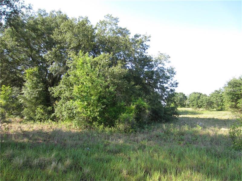 HOLLY HILL GROVE ROAD, Davenport, FL 33837
