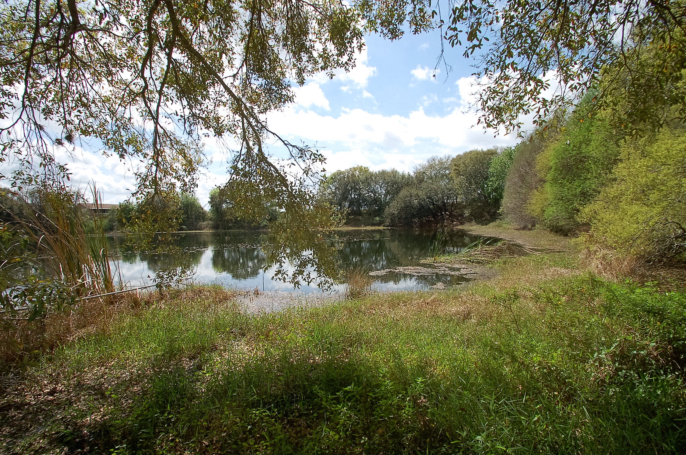 2115 Holly Hill Fruit Road, Davenport, FL 33837