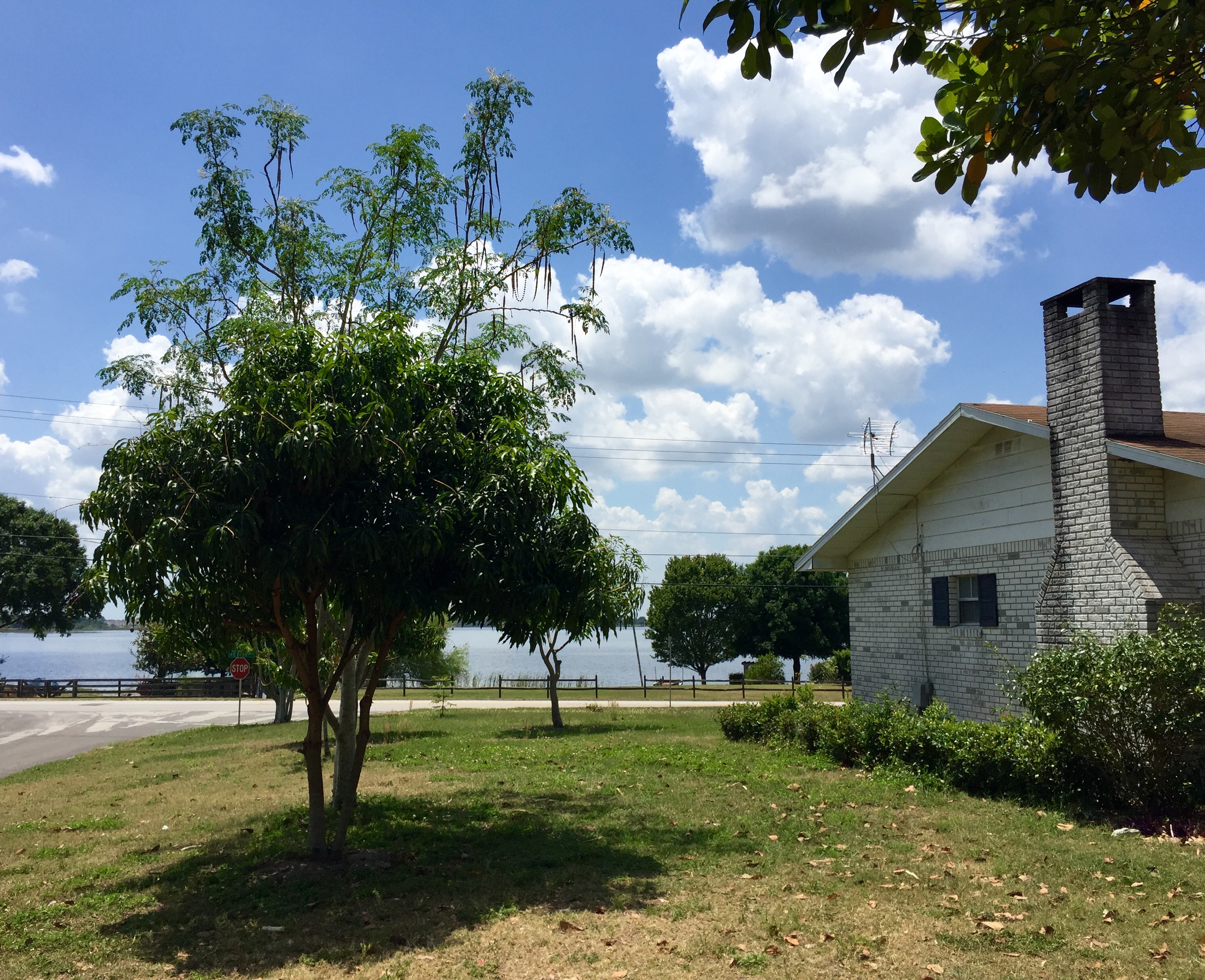 1185 E Eagle Ave, Eagle Lake, FL 33839