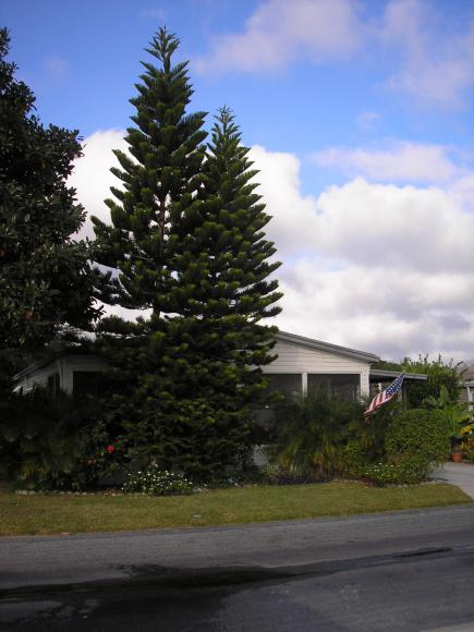 Lake Hammock Village76 Reineke RoadHaines City, FL 33844