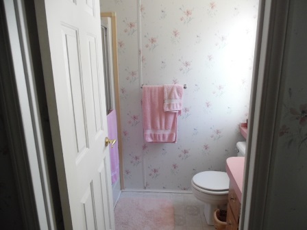 Plantation Landings393 ASHLEY DRIVEHaines City, FL 33844