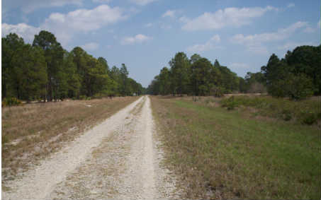 244 SUMMERTIME AVE, Lake Placid, FL 33852