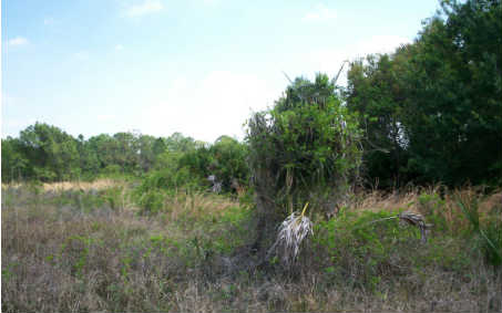 332 SUMMERTIME AVE, Lake Placid, FL 33852