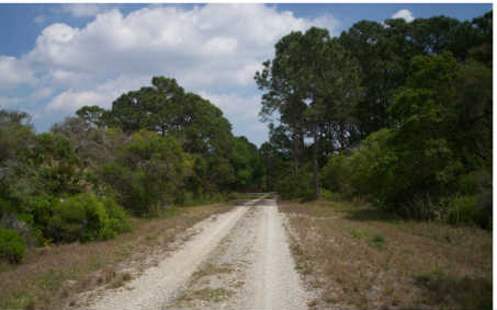 332 SUMMERTIME AVE, Lake Placid, FL 33852