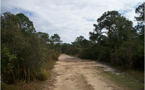 1507 MANGROVE ST, Lake Placid, FL 33852