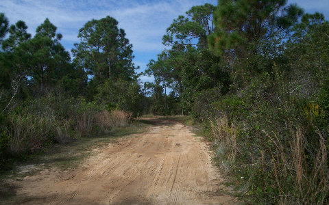 1507 MANGROVE ST, Lake Placid, FL 33852
