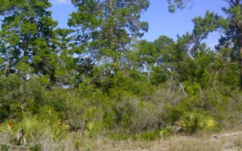 243 NORSEMAN AVE NW, Lake Placid, FL 33852