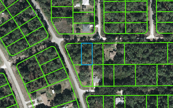 1503 NIMITZ AVE, Lake Placid, FL 33852