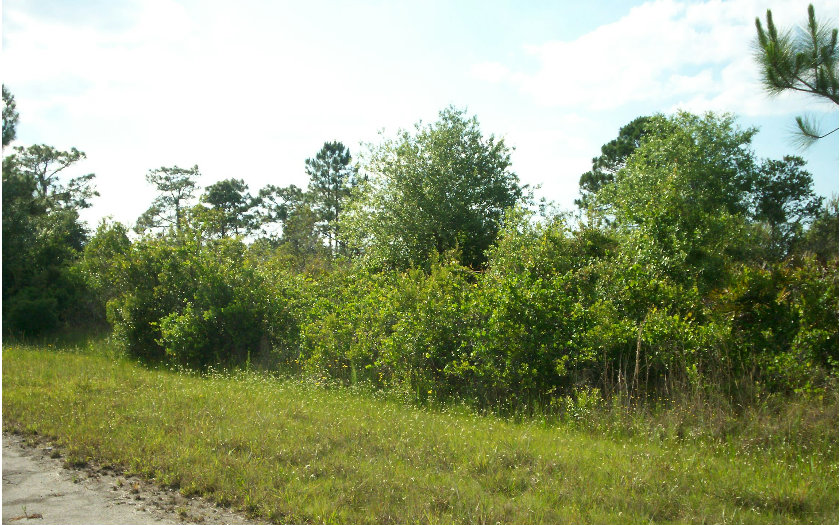 109 CITATION ST NW, Lake Placid, FL 33852