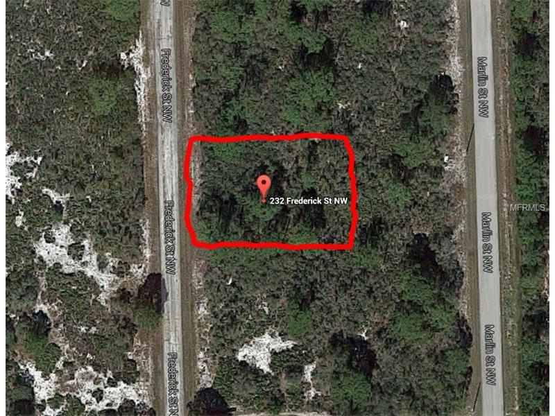 232 FREDERICK STREET NW, Lake Placid, FL 33852