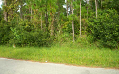 152 ENOS AVE, Lake Placid, FL 33852