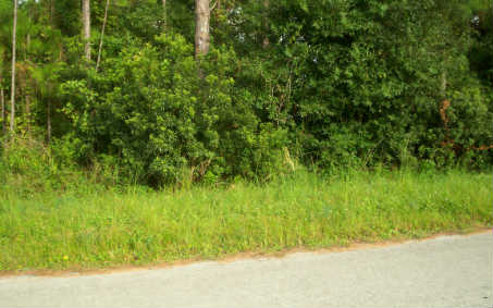 152 ENOS AVE, Lake Placid, FL 33852