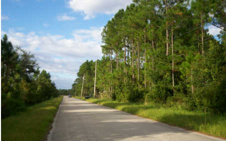 152 ENOS AVE, Lake Placid, FL 33852