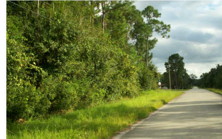 152 ENOS AVE, Lake Placid, FL 33852