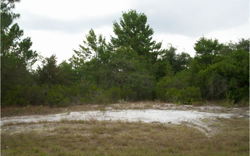 115 BONNIE RD NW, Lake Placid, FL 33852