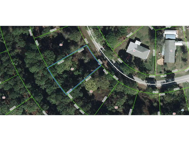 345 JOHNSON AVENUE NE, Lake Placid, FL 33852
