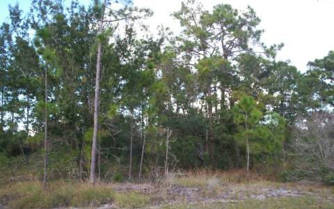 3141 MILLER AVE, Lake Placid, FL 33852