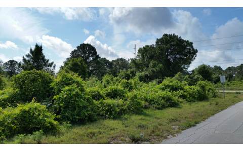 196 WILSON WAY NE, Lake Placid, FL 33852