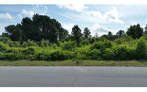 196 WILSON WAY NE, Lake Placid, FL 33852