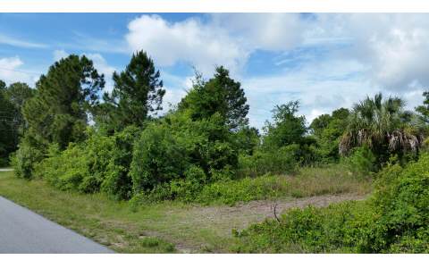 196 WILSON WAY NE, Lake Placid, FL 33852