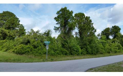 196 WILSON WAY NE, Lake Placid, FL 33852