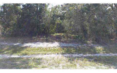 3146 MILLER AVE, Lake Placid, FL 33852