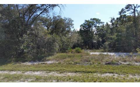 3146 MILLER AVE, Lake Placid, FL 33852