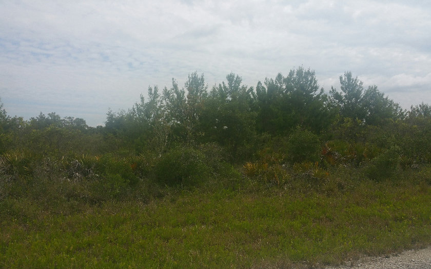 3549 SALZEDO ST, Lake Placid, FL 33852