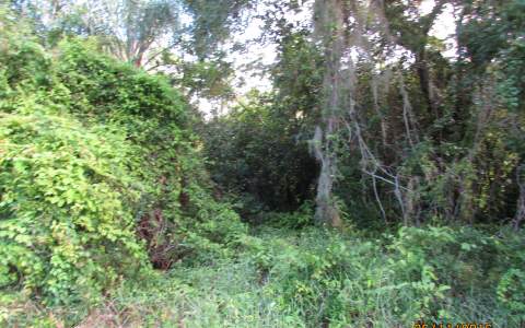 769 LAKE JUNE RD, Lake Placid, FL 33852