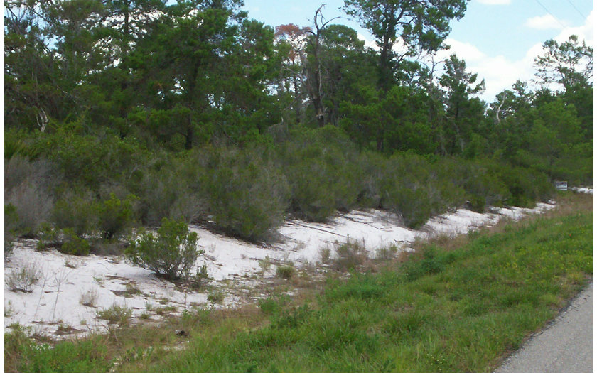 526 DRY TORTUGAS ST NE, Lake Placid, FL 33852