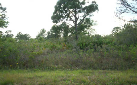 743 MUSTANG AVE NW, Lake Placid, FL 33852