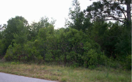 743 MUSTANG AVE NW, Lake Placid, FL 33852